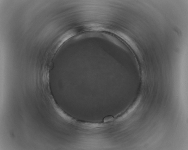 X0000113551289200910091256