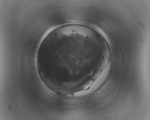 X0000113551291200910091256