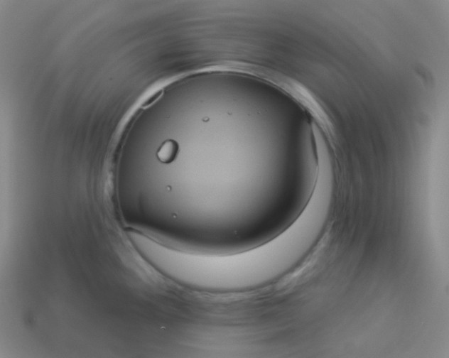 X0000113551292200910091256