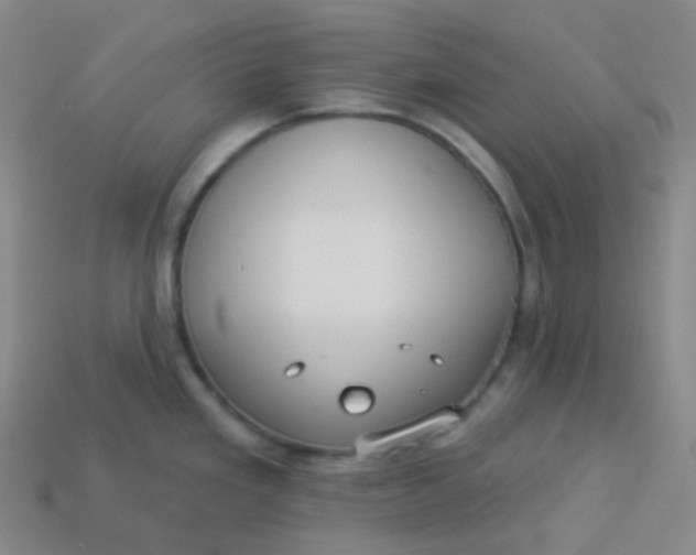 X0000113551293200910091256