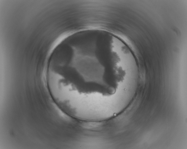 X0000113551294200910091256