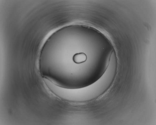 X0000113551296200910091256