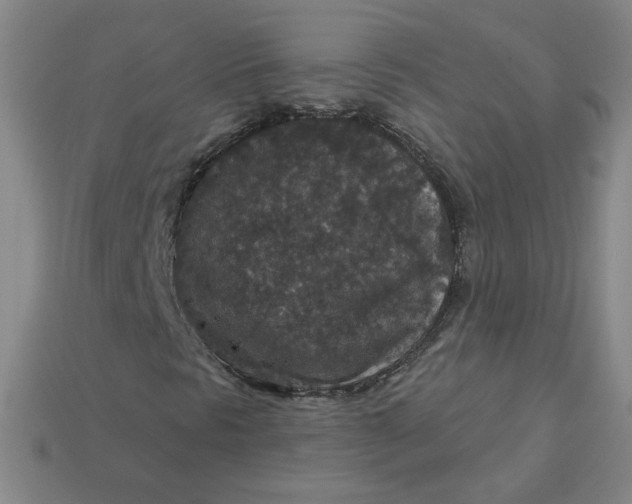 X0000113551297200910091255