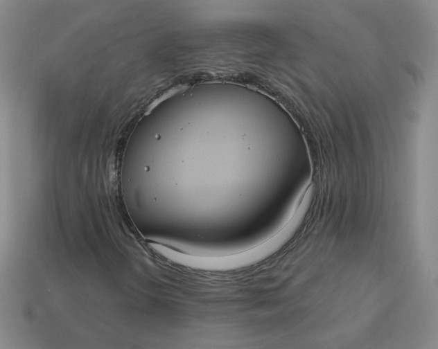 X0000113551298200910091255