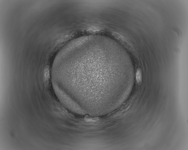 X0000113551299200910091255