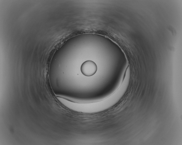 X0000113551300200910091256