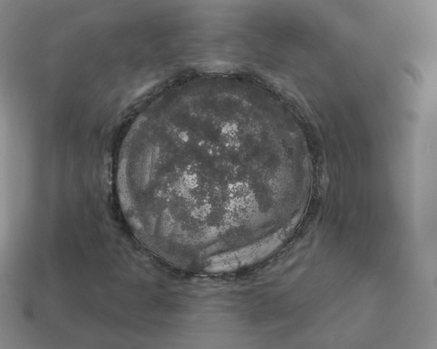 X0000113551301200910091256