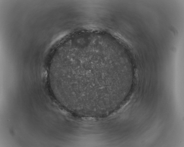 X0000113551302200910091256