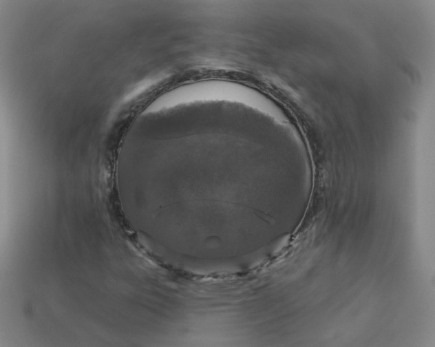 X0000113551303200910091256