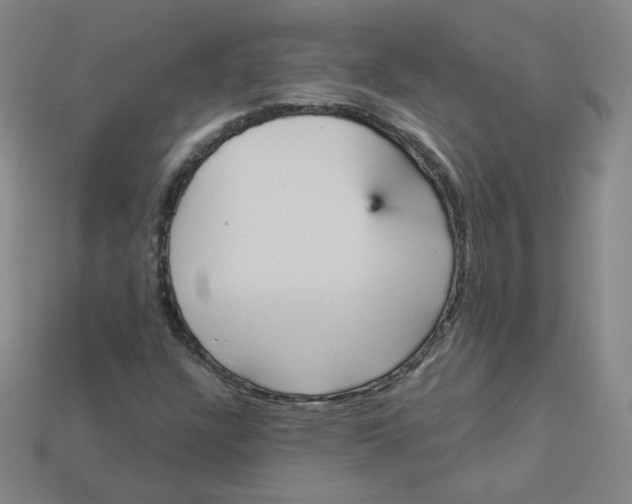 X0000113551304200910091256