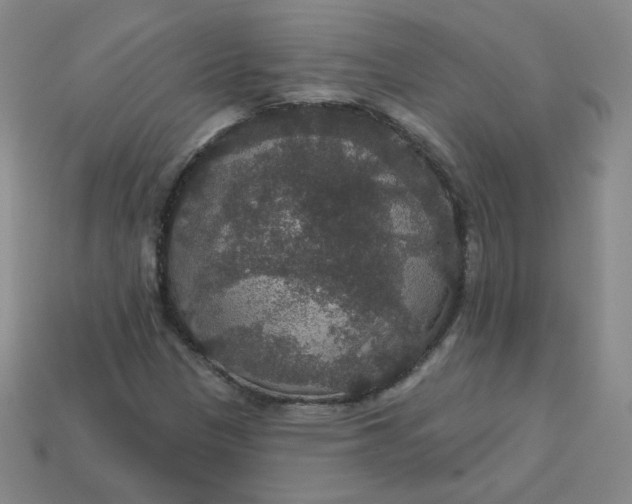 X0000113551305200910091256