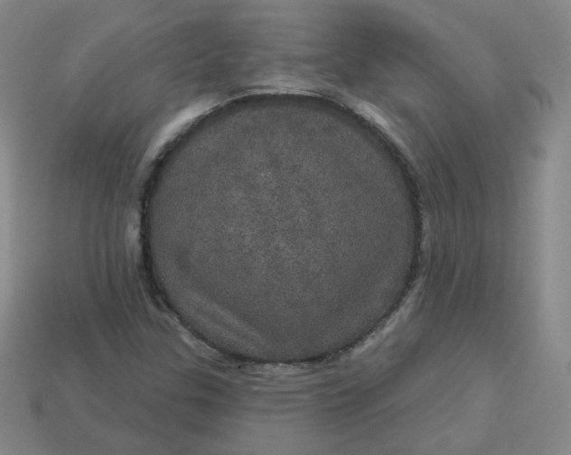 X0000113551307200910091256