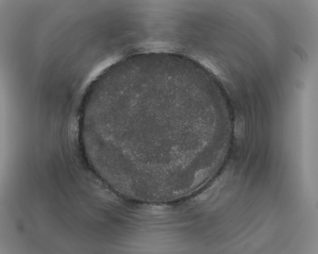 X0000113551309200910091256