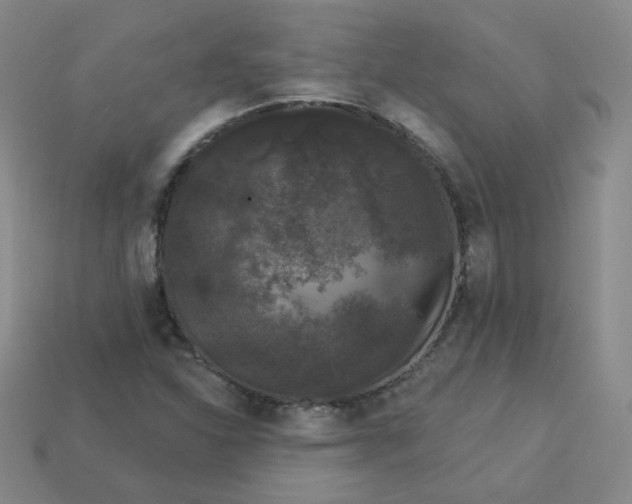 X0000113551310200910091256