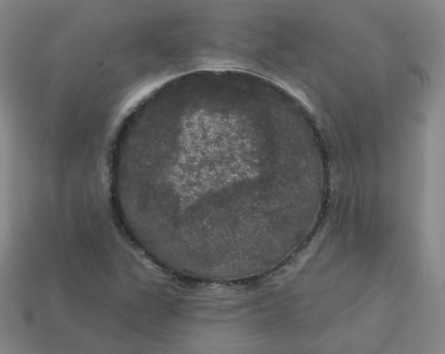 X0000113551311200910091256