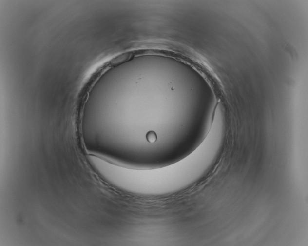 X0000113551312200910091256