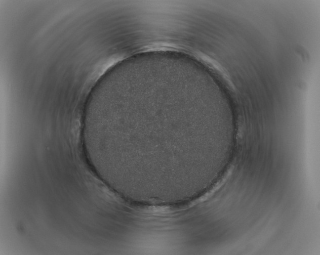 X0000113551313200910091256