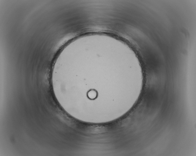 X0000113551314200910091256