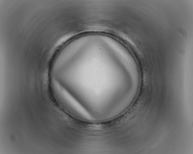 X0000113551315200910091256