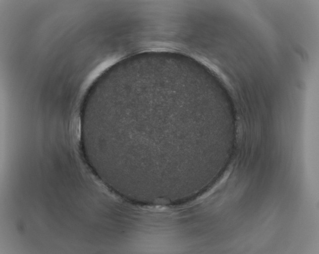 X0000113551317200910091256