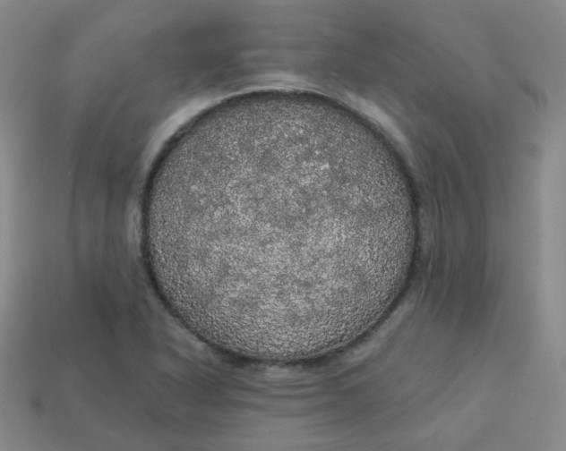 X0000113551318200910091256