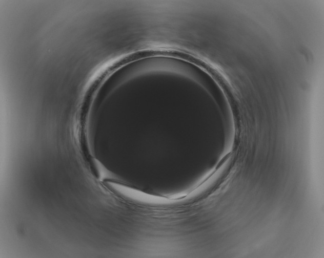 X0000113551319200910091256