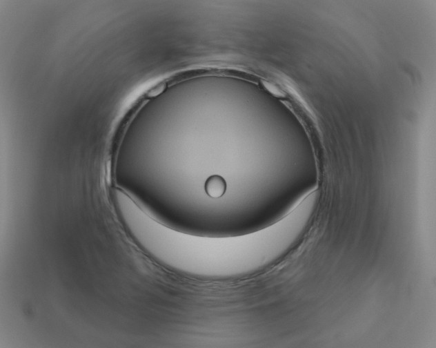 X0000113551320200910091256