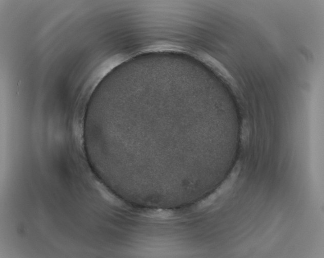 X0000113551321200910091256