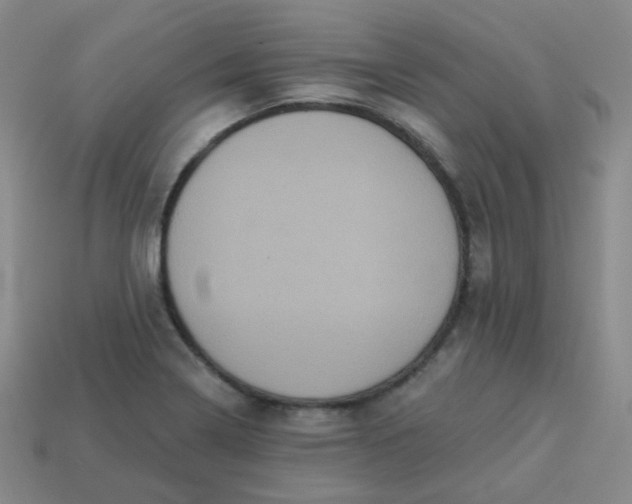 X0000113551322200910091256