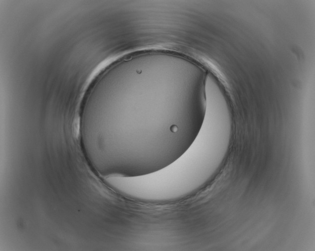 X0000113551324200910091256