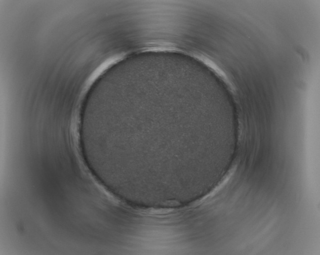 X0000113551325200910091256