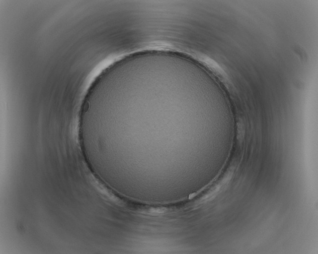 X0000113551326200910091256