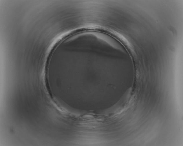 X0000113551327200910091256