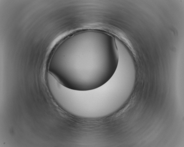 X0000113551328200910091256