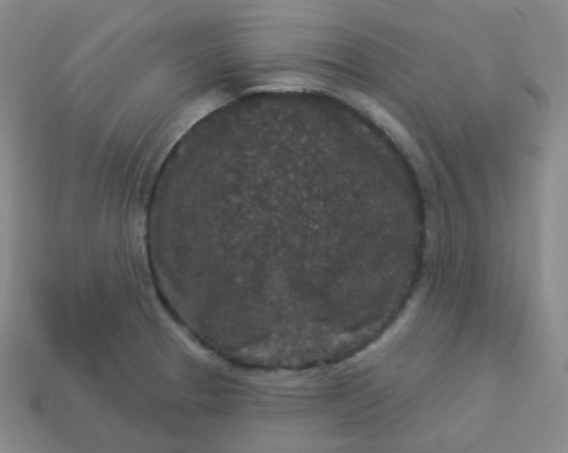 X0000113551329200910091256