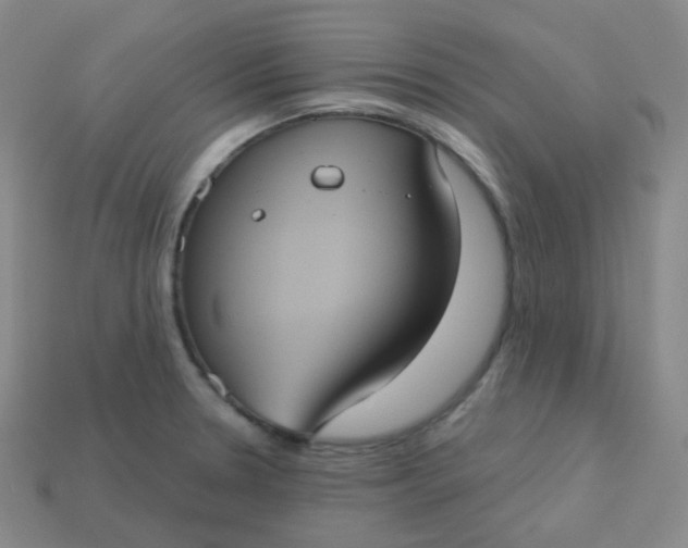 X0000113551330200910091256