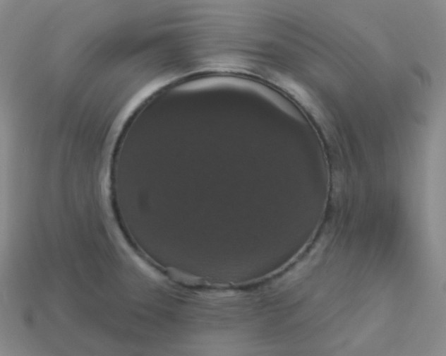 X0000113551331200910091256