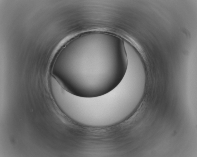 X0000113551332200910091256