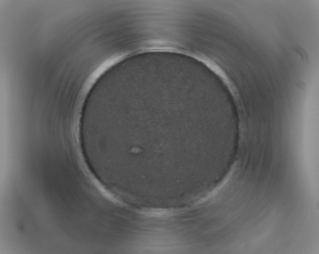 X0000113551333200910091256