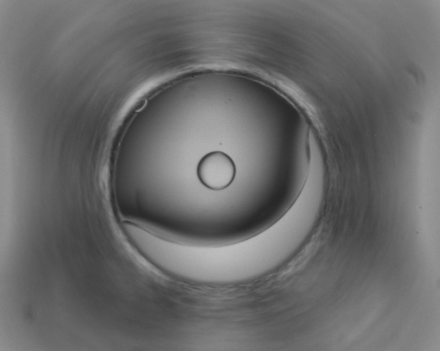 X0000113551334200910091256