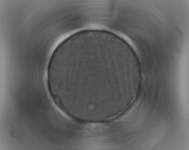 X0000113551335200910091256