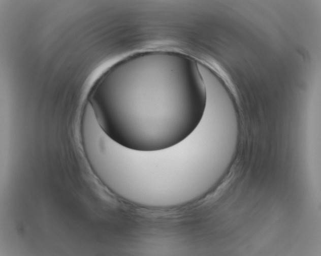 X0000113551336200910091256