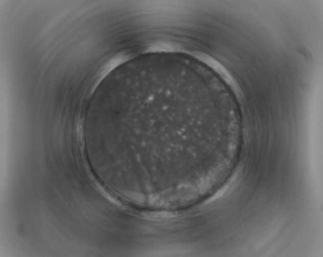 X0000113551337200910091256