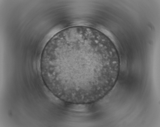 X0000113551338200910091256