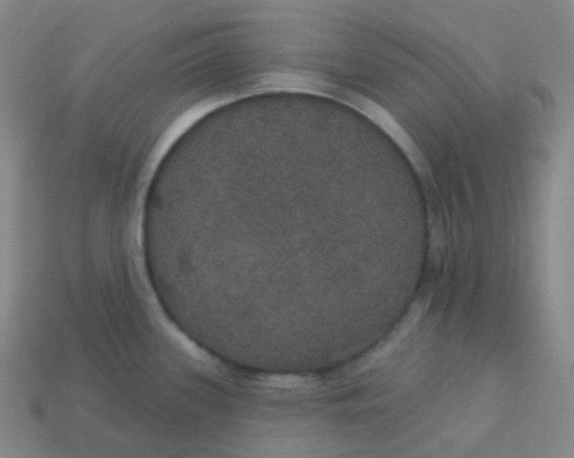 X0000113551339200910091256