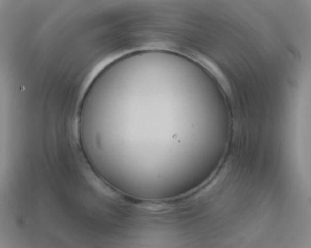 X0000113551340200910091256