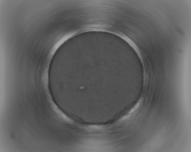 X0000113551341200910091256