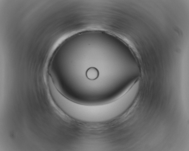 X0000113551342200910091256