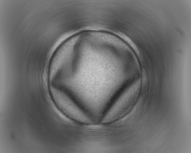 X0000113551343200910091256