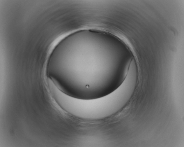 X0000113551344200910091256